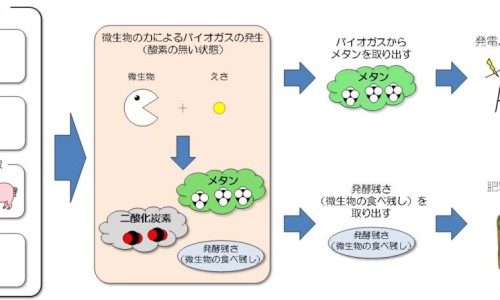 小孩用药两毫升网小孩药量知识网站,分享孩子把药两天的量一顿吃了怎么加大全